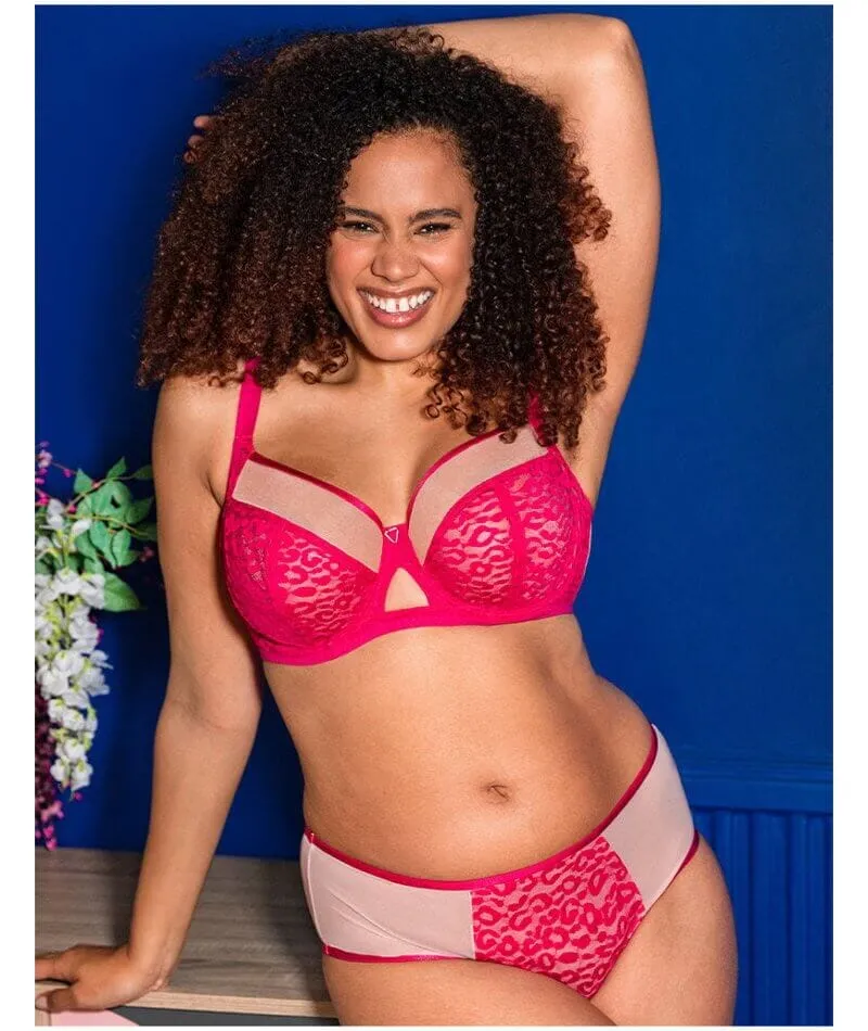 Curvy Kate Victory Wild Balcony Bra - Hot Pink/ Blush