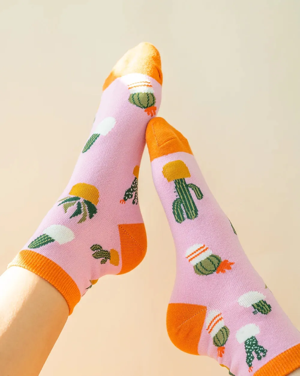 Socks | Cacti