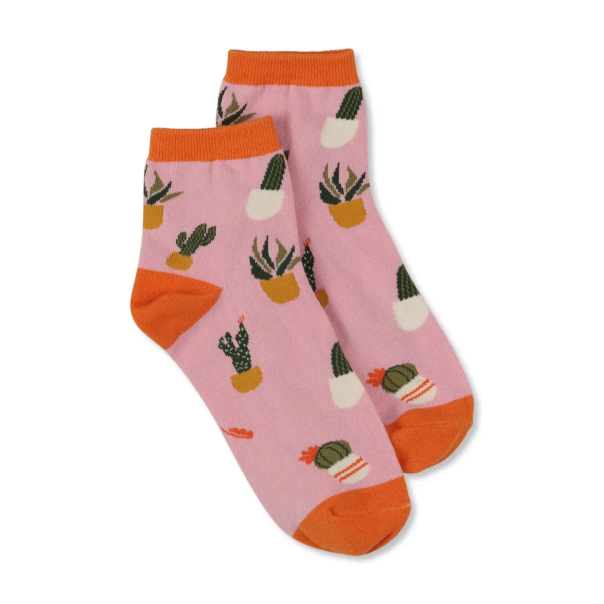 Socks | Cacti